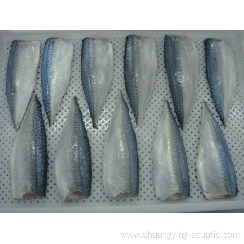 Pacific Mackerel Frozen Mackerel Fish Fillet Seafood